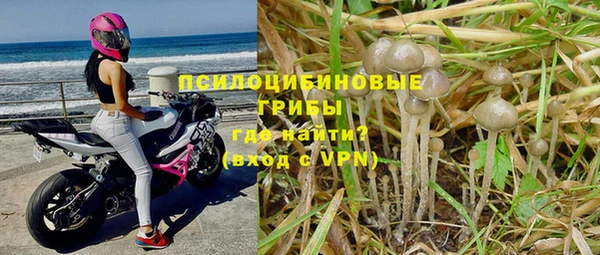 индика Беломорск