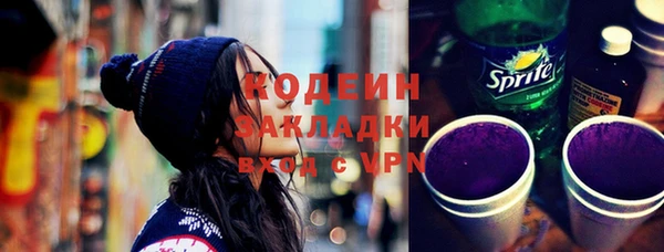 индика Беломорск