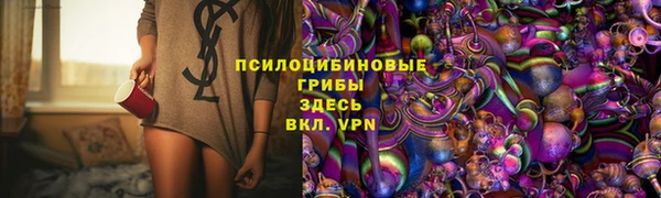 индика Беломорск
