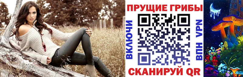 Галлюциногенные грибы GOLDEN TEACHER  наркошоп  Демидов 